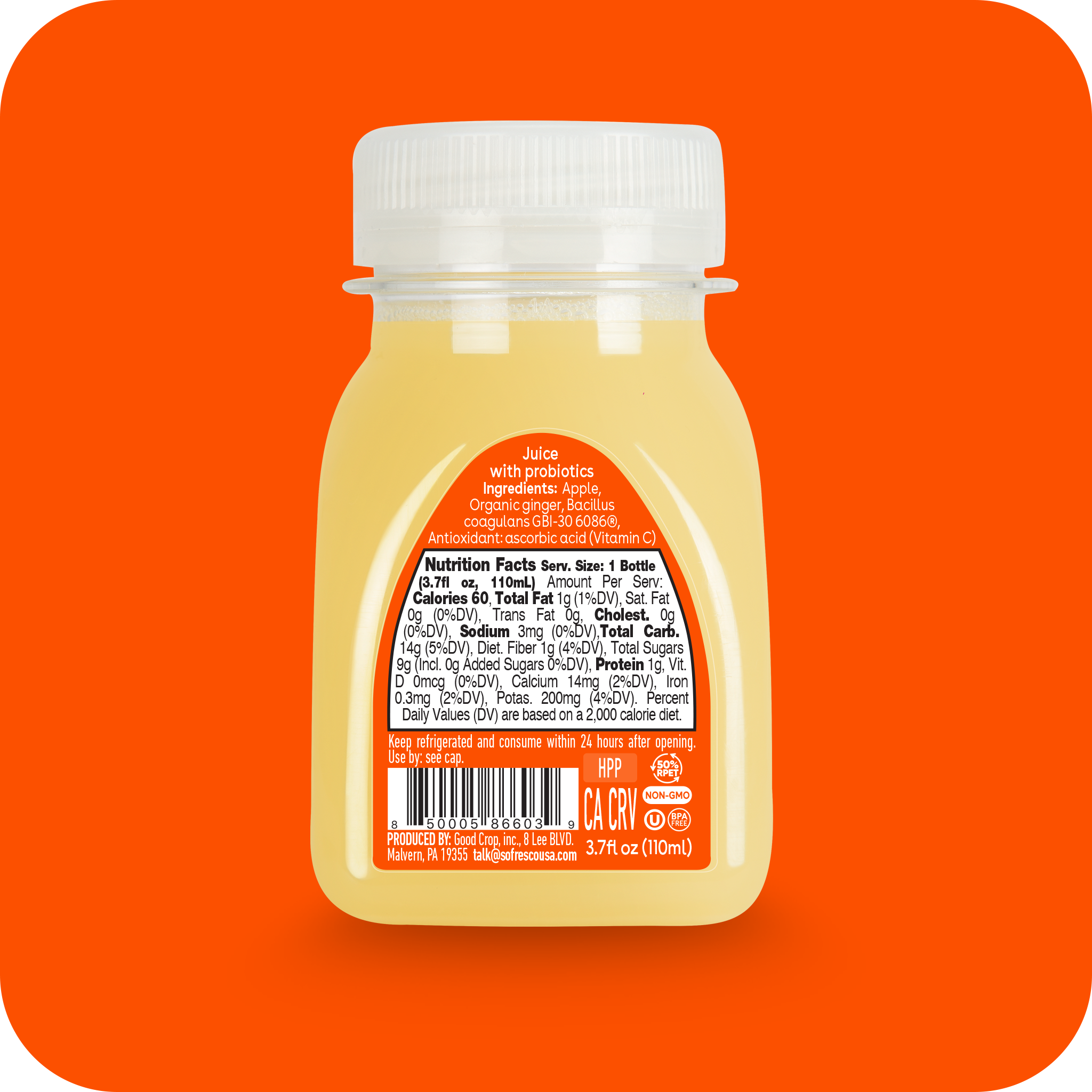 Immunity Shot Ginger 3.7oz | Cold-Pressed Juice