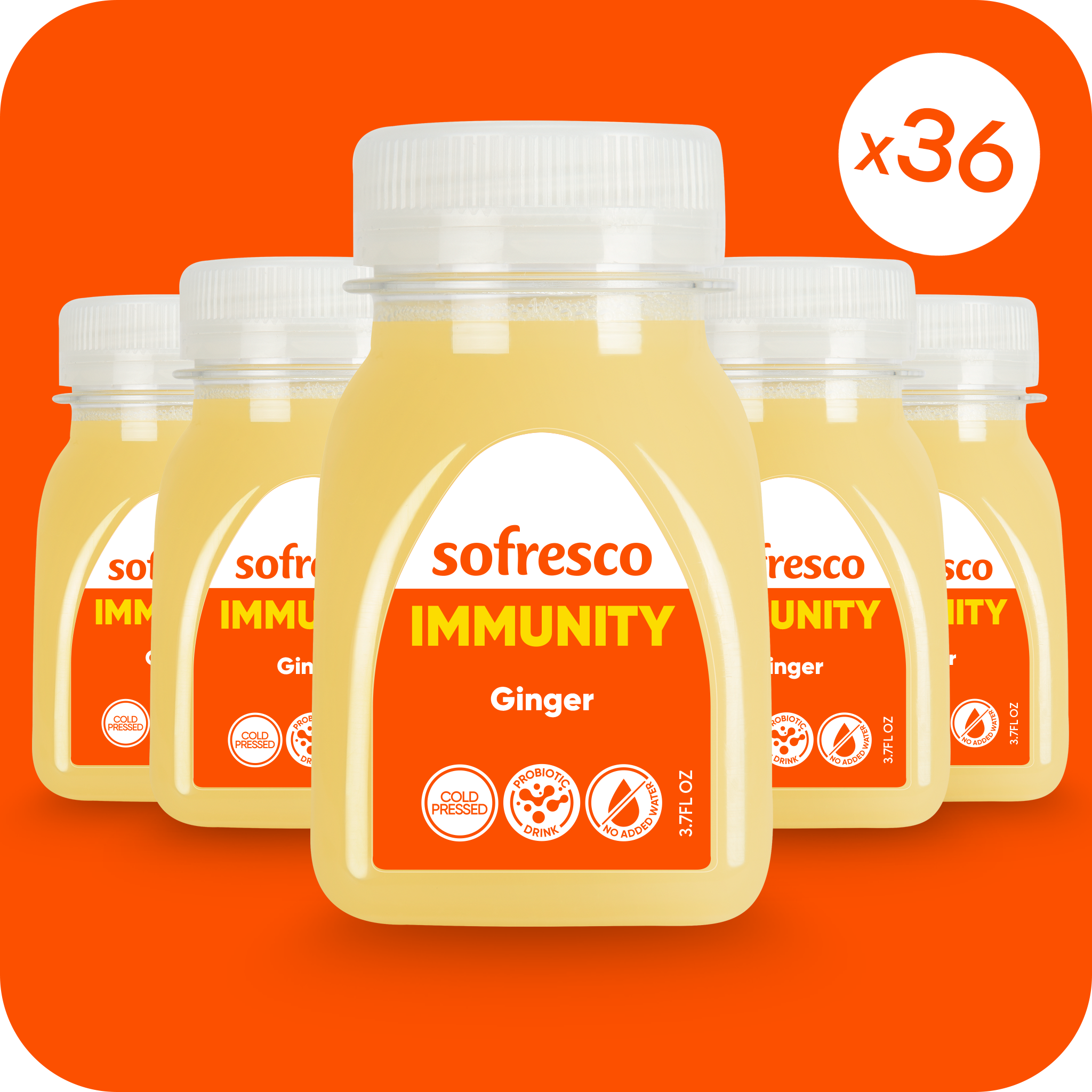 Immunity Shot Ginger 3.7oz | Cold-Pressed Juice