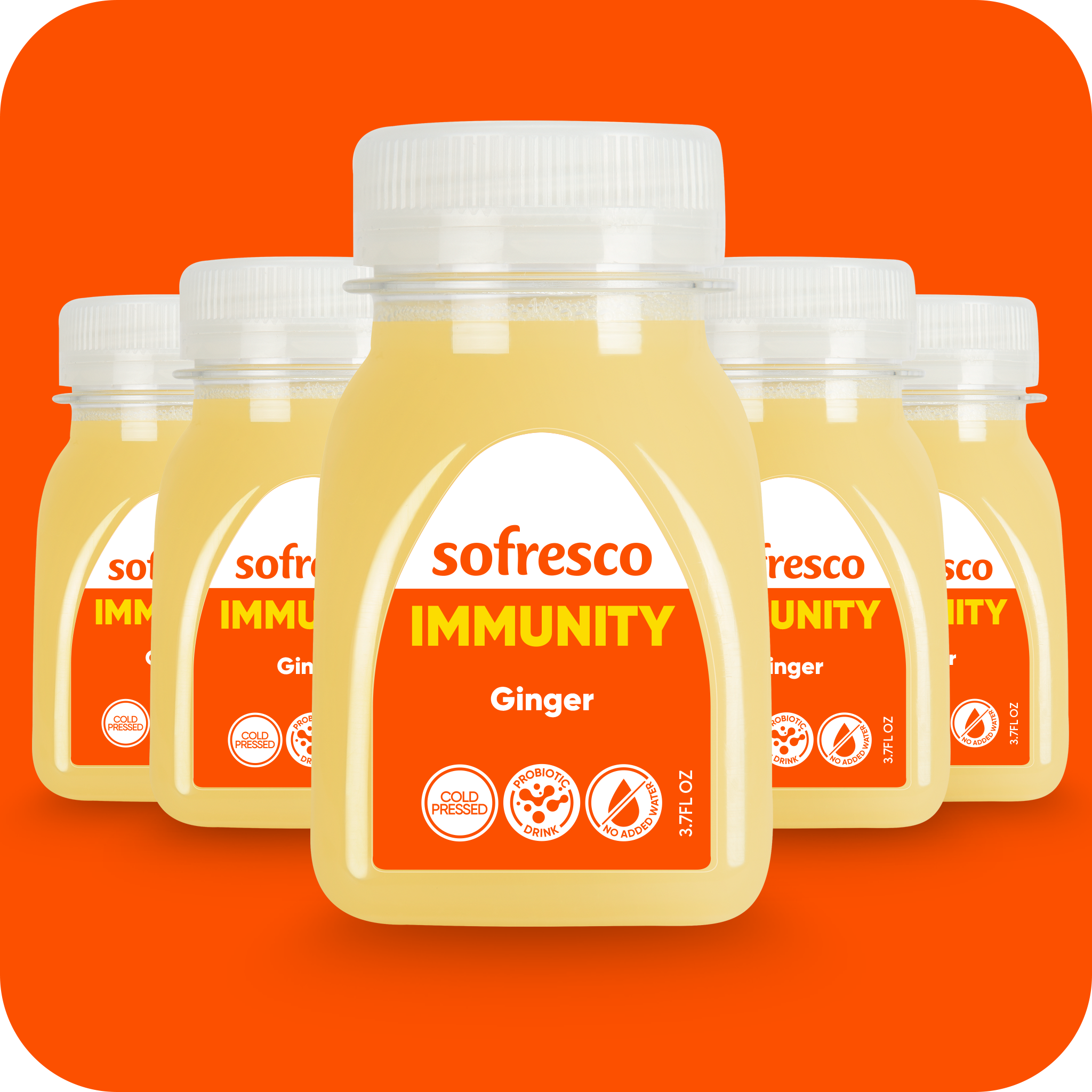 Immunity Shot Ginger 3.7oz | Cold-Pressed Juice