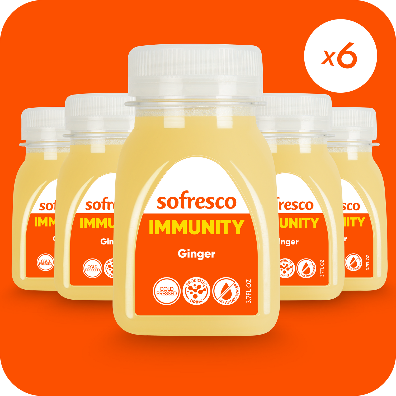 Immunity Shot Ginger 3.7oz | Cold-Pressed Juice